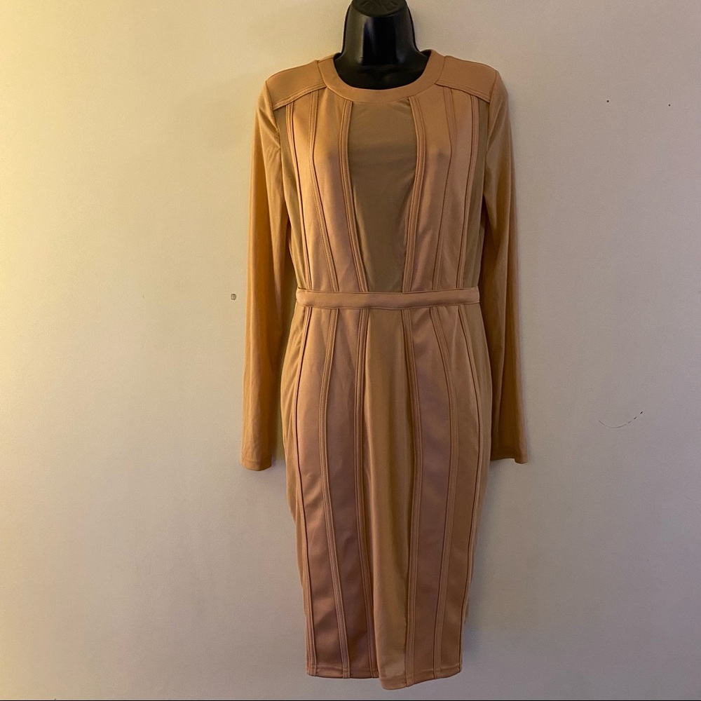 Fashion Nova Dress
